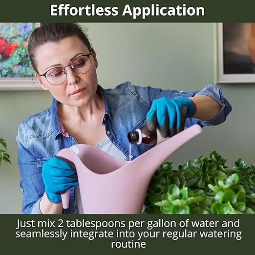 3-1-2 African Violet Fertilizer for Indoor Plants: Liquid Fertilizer with Essential Micronutrients Drops - Plant Food for African Violets (16 OZ) by GreenHaven Gardens