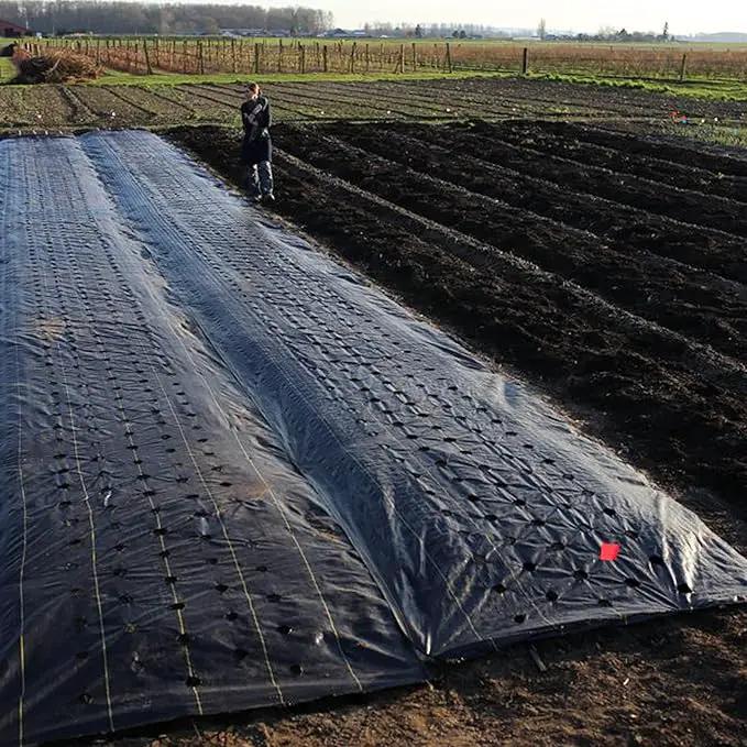 Driveway Fabric - 6.5x330 ft Commercial Weed Barrier - Heavy Duty 3.5OZ French Drain Fabric for Erosion Control and Landscape Projects by GreenHaven Gardens