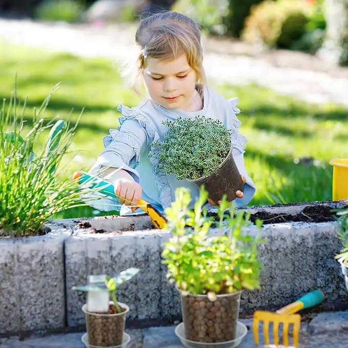 4/5/6/7 Inch Clear Nursery Pots for Plants with Sacuers 15 Pack, Plastic Flower Pots with Drainage Holes, Variety Pack Seedlings Garden Pot for Indoor Outdoor (6 inch) by GreenHaven Gardens