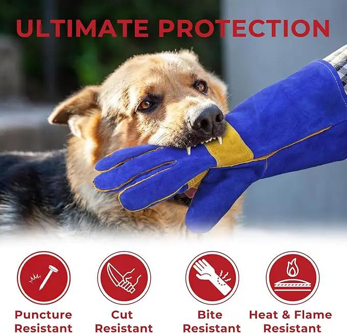 HANDLANDY Animal Handling Gloves, Falconry Cat Glove Bite Proof, Thorn Proof Rose Pruning Gardening Gauntlets (Royal blue, 14 Inches) by GreenHaven Gardens