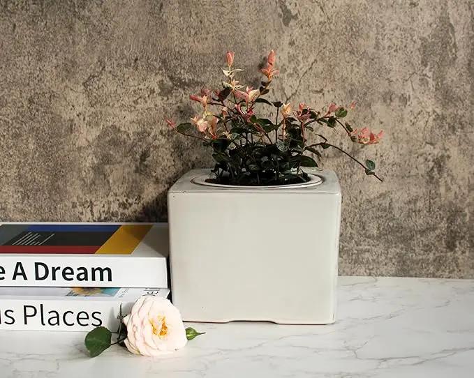 2-Pack Ceramic African Violet Self Watering Pot 6 Inch Square Pot 3.5 Inch Innter Pot Easy Fill Water Reservoir White by GreenHaven Gardens
