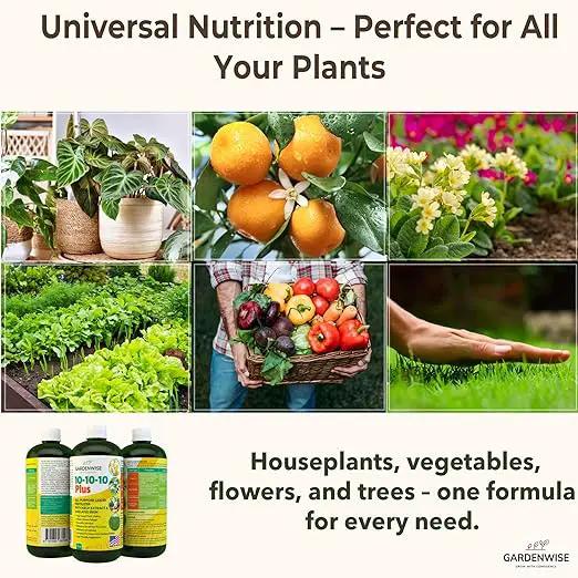 10-10-10 Fertilizer for All Purpose Plants - Liquid Fertilizer with Seaweed Kelp & Iron - Plant Food Outdoor & Indoor Plant Food, Vegetables,Flowers, Lawn & Garden 10 10 10 Fertilizer 16 oz by GreenHaven Gardens