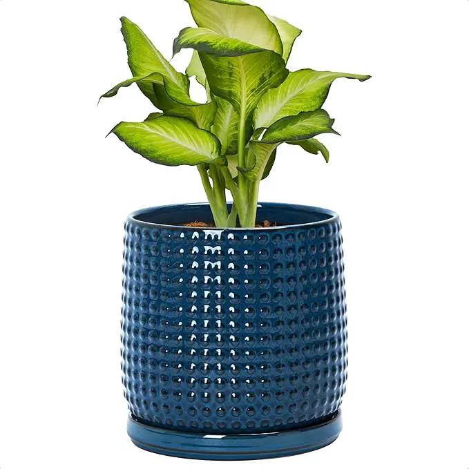 D'vine Dev 6 Inch Ceramic Beaded Stoneware Planter Pot - Flower Pot with Drainage Holes and Saucers for Indoor Succulent Plants or Flowers, Midnight Blue, 27-C-X-3 by GreenHaven Gardens