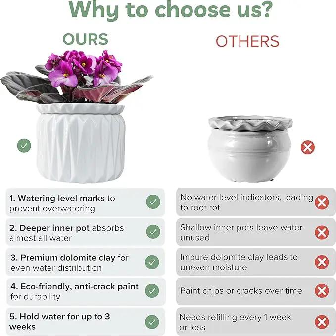 6 inch Self Watering Pot for Indoor Plants, African Violet Pot Ceramic, Flowers Planter (4 inch Opening), Holds 3 Weeks of Water (2 Pack White) by GreenHaven Gardens