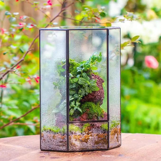 NCYP Wall Corner Geometric Glass Terrarium, Closed Front Opening Door Container Planter for Succulents, Small Plants - Black, Indoor Decor, Tabletop Landscape, 6.1" x 6.1" x 11.8" (Terrarium Only) by GreenHaven Gardens