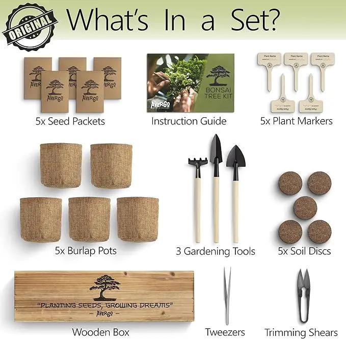 Bonsai Tree Kit – 5X Unique Japanese Bonzai Trees | Complete Indoor Bonsai Starter Kit for Growing Bonsai Plants with Tools & Planters – Gardening Gifts for Women & Men by GreenHaven Gardens