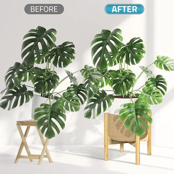 PAULINN Plant Basket with Stand 11" x 11", Woven Basket with Bamboo Plant Stand, for Indoor Plant, Fits Up to 10 Inch Plant Pots, White and Beige by GreenHaven Gardens