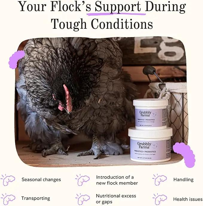 Grubbly Farms Prebiotics + Probiotics for Chickens (30 Day) by GreenHaven Gardens