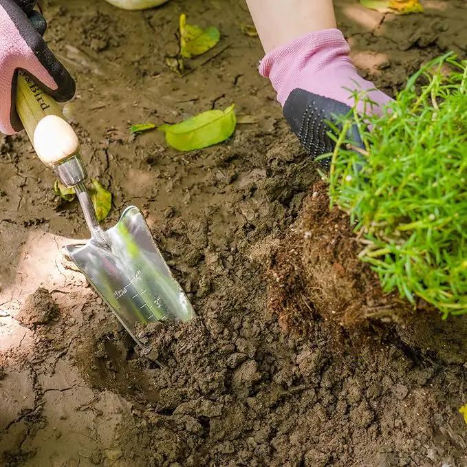 Berry&Bird Transplant Trowel with Measurements, Garden Stainless Steel Potting Hand Trowel with Wooden Handle, Small Garden Hand Shovel Transplanter Tool for Planting Digging Transplanting Gardening by GreenHaven Gardens