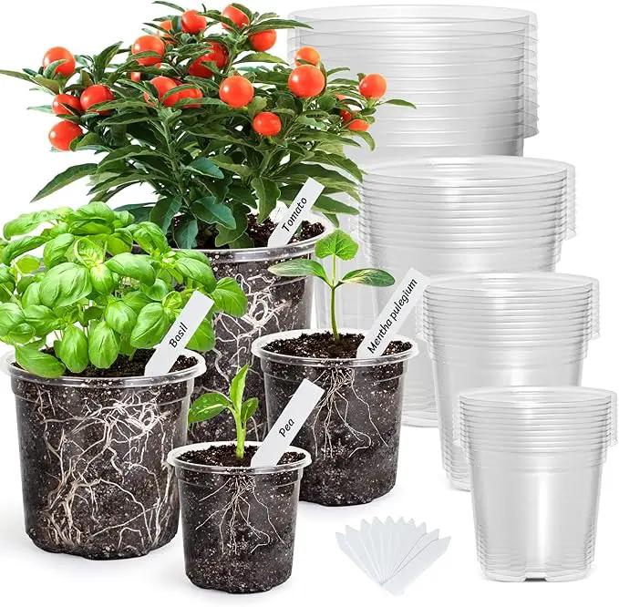 Bonviee Clear Nursery Pots for Plants, 6.7/5/4/3.5 Inch Reinforced Clear Nursery Pots with Drainage Hole, 36 Packs Transparent Plastic Plant Pot Seedling Planter Seed Starter Flower by GreenHaven Gardens