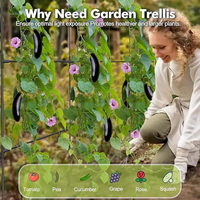 GOJAWAY 63" L x 63" H Cucumber Trellis for Raised Bed, Metal Arch Garden Trellis for Climbing Plants Outdoor, U-Shape Gardening Support Frame for Vegetable, Flower, Fruits, Vine by GreenHaven Gardens