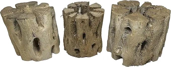 3 Natural Cholla Wood Air Plant Display Holders 2 inch Individually Unique Round Decorative Stands by GreenHaven Gardens