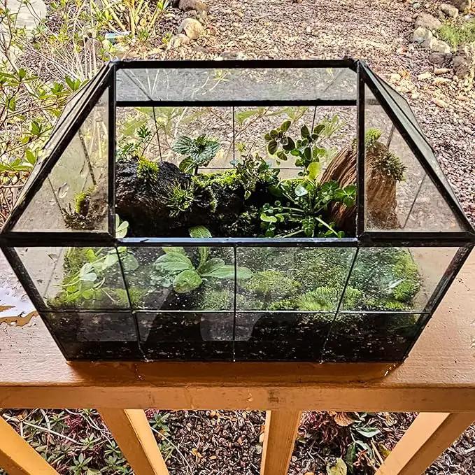 HighFree Geometric Terrarium Planter with Swing Lid, House Shape Black Handmade Glass Box, Vintage Tabletop Miniature Terrarium, for Succulent, Cacti, Air Plants (Not Watertight - 9.2x5.5x7.3 inch) by GreenHaven Gardens