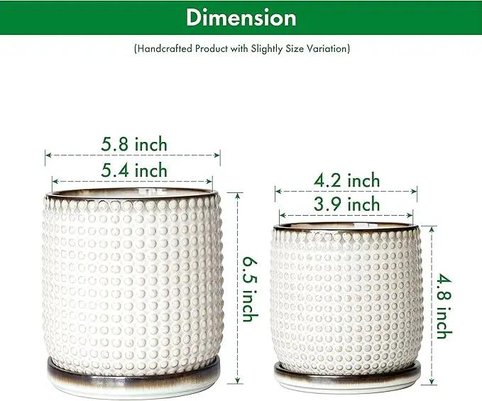 D'vine Dev 6 Inch 4 Inch Ceramic Indoor Planter Pots with Drainage Hole and Saucer, Beaded Design Flower Pots, Set of 2, Smoked White, 27-D-U-1 by GreenHaven Gardens