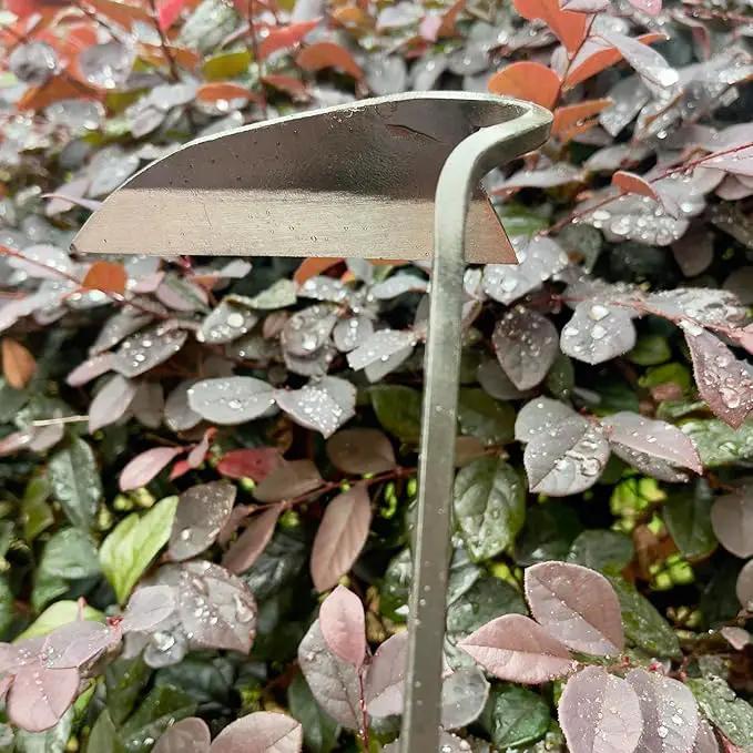 12 Inch Japanese Gardening Hand Weeding Sickle, Weeding Hoe with Long Wooden Handle by GreenHaven Gardens