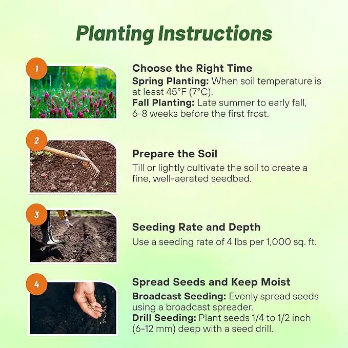 Outsidepride Gardenway Cover Crop Seeds - 50 lbs Fast Growing, Easy to Establish, Nutrient-Rich Mix for Soil Health & Home Gardens - Mixture of Triticale, Peas, Vetch, Annual Ryegrass, Crimson Clover by GreenHaven Gardens