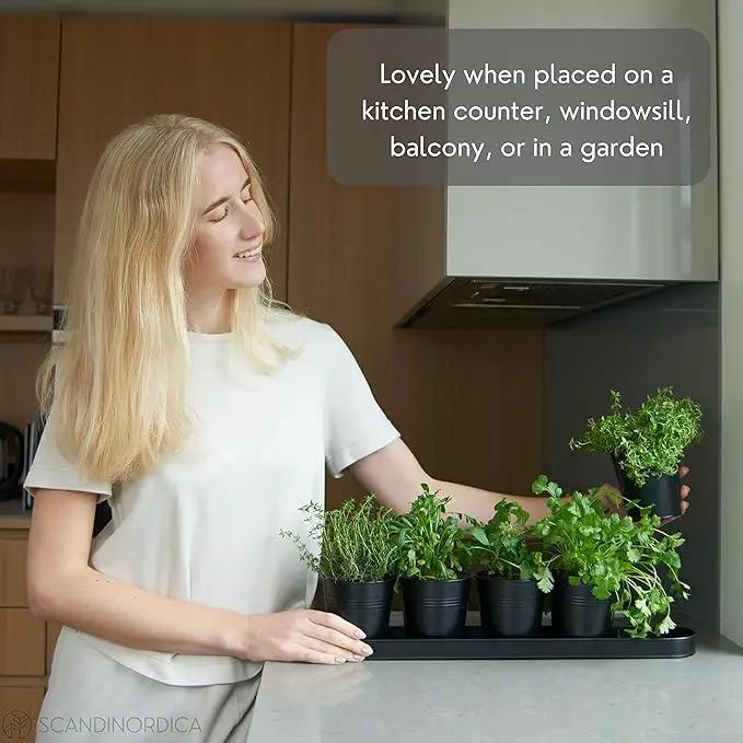 SCANDINORDICA Black Herb Planter – 5 Pots with Drainage Holes and Tray, Windowsill Planter, Herb Pots for Indoor Outdoor Plants | Kitchen & Garden Decor by GreenHaven Gardens