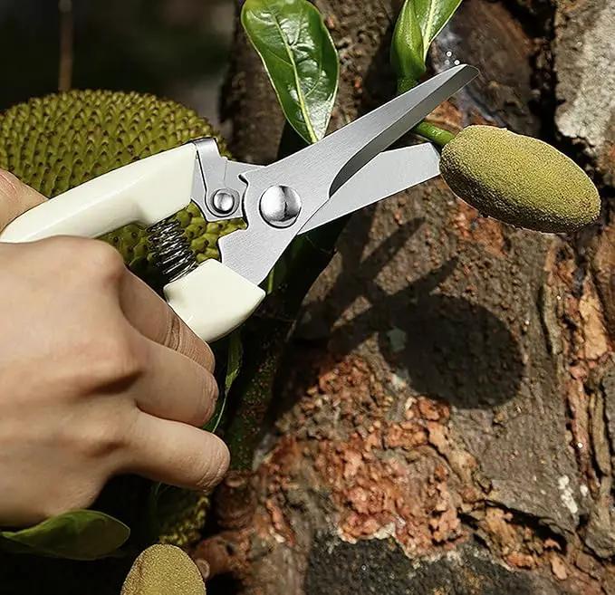 Garden Flower Shears Pruning Shears 6.9 inches Straight and Bypass Scissors Heavy Duty Plant Scissors for Cutting Flowers, Trimming Plants, Bonsai, Fruits Picking (White handle Straight and Bypass) by GreenHaven Gardens