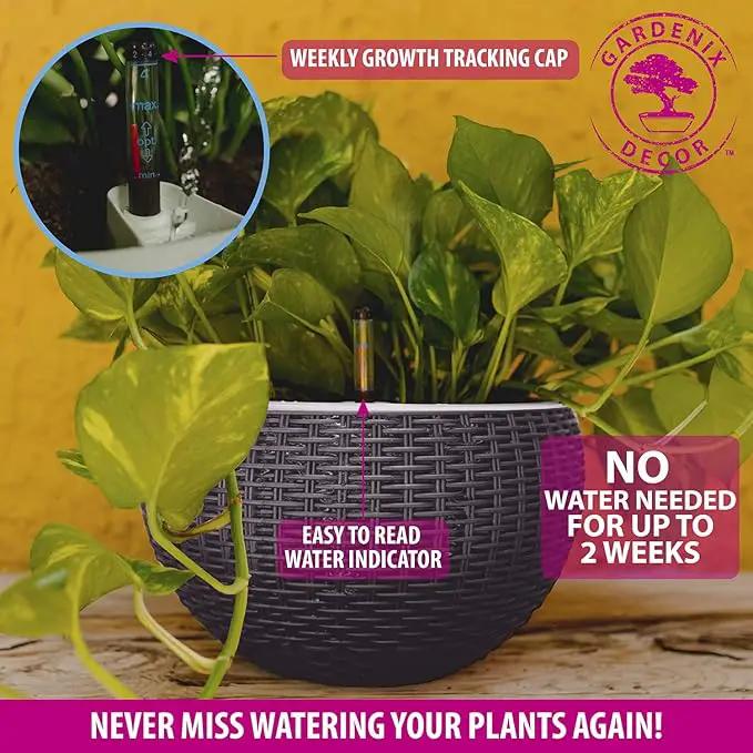GARDENIX DECOR 11'' Self Watering Hanging planters for Indoor Plants - Flower Pot with Water Level Indicator for Plants, Hanging pots - Self Watering Planter Plant Pot-Coco Coir - Round 1 Pack - Gray by GreenHaven Gardens