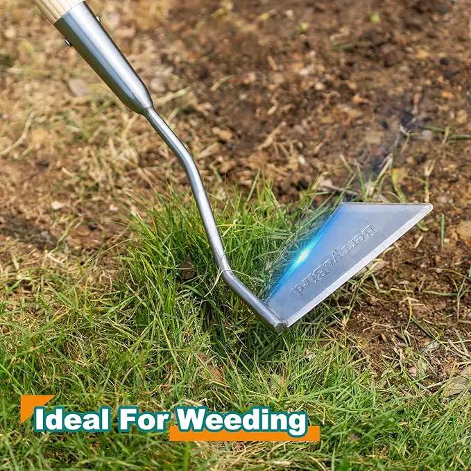 Berry&Bird Swoe Garden Hoe, 61.8'' Stainless Steel Long Handled 3 Edge Hoe with Wooden Hand, Mini Angled/Warren Hoe, Soil Cultivator Weeding Tool for Grass Flower Backyard by GreenHaven Gardens