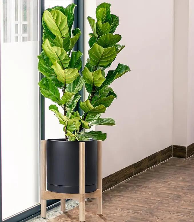 D'vine Dev Ceramic Planter with Natural Stand - 12 Inch Modern Round Flower Pot with Wood Planter Holder, Black, 55-B-J-2 by GreenHaven Gardens