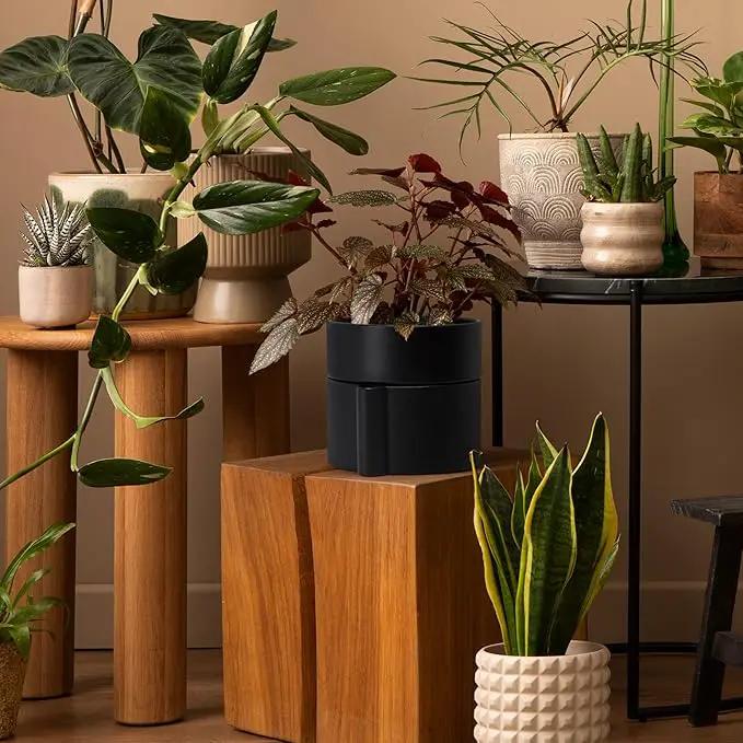 Phoenix Vine 6.5 Inch Self-Watering Planter Pot with Terracotta Insert, Deep Water Reservoir, and Ceramic-Alike BPA-Free Plastic Planter Pot for Plant, Modern Planter for Houseplants, Black, 53-A-S-2 by GreenHaven Gardens