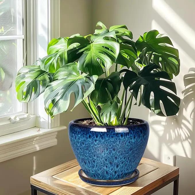 10 Inch Ceramic Planter Pot, Ceramic Plant Pot for Indoor Outdoor Plants, Large Flower Pot with Drainage Hole and Saucer, Blue by GreenHaven Gardens