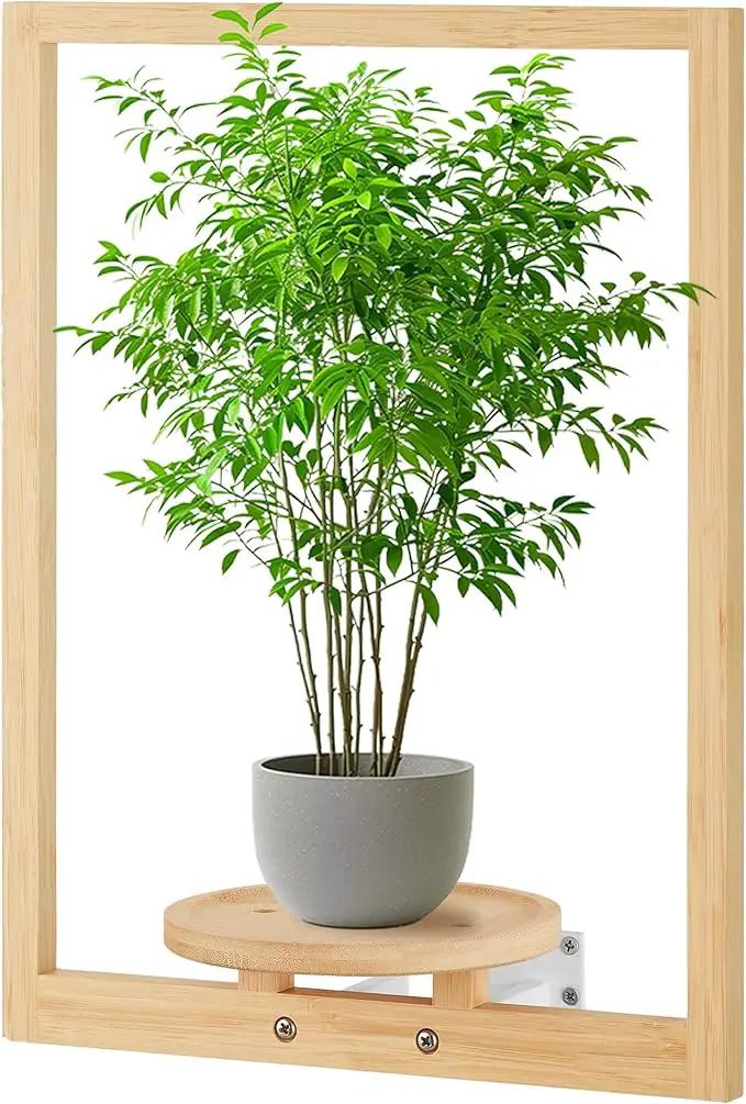 yadoker Wall Planters for Indoor Plants,Bamboo Hanging Plant Holders, Wall Decor Plant Stand, 1-Pack Window Plant Shelves for Living Room & Entryway by GreenHaven Gardens