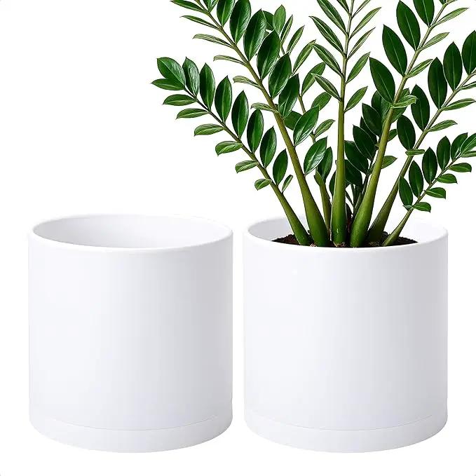D'vine Dev 2 Pack 10 Inch Modern Plastic Plant Pots, Small Garden Planters for Plant with Drainage Holes and Saucers, White Color, 74-Z-N-1 by GreenHaven Gardens