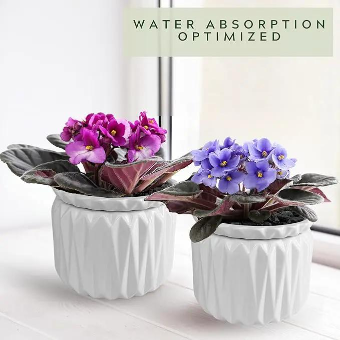 6 inch Self Watering Pot for Indoor Plants, African Violet Pot Ceramic, Flowers Planter (4 inch Opening), Holds 3 Weeks of Water (2 Pack White) by GreenHaven Gardens