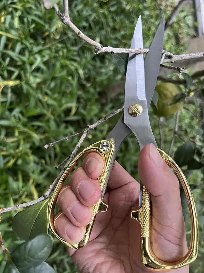 Japanese Garden Clippers, Houseplant plant shears, Floral Pruner Botanical Flower Stem scissors, Gardening Shears with Straight Stainless Steel Blades, Easy Use Garden Tools (golden-k26) by GreenHaven Gardens