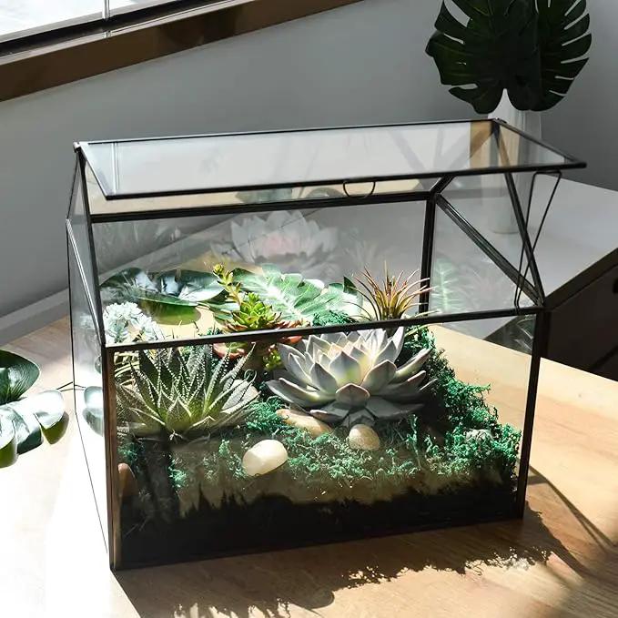 Black 1 Large Glass Plant Terrarium Kit with Lip Greenhouse for Succulents by GreenHaven Gardens