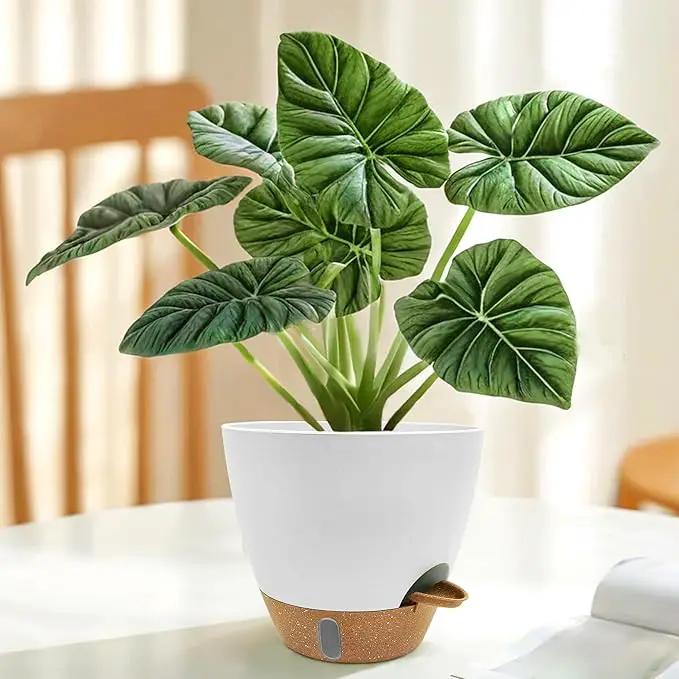 12/10/9/8 inch Self Watering Pots with Visual Water Window, Extra Large Self Watering Plant Pot with Drainage Holes and Saucers, White Flower Pots for Indoor Plants by GreenHaven Gardens