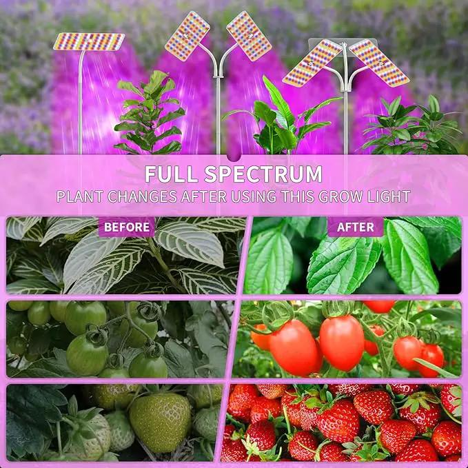Grow Lights with Base, Double Head, Full Spectrum LED Grow Light for Indoor Plants, 240 Leds, 4 Dimmable Levels, Timer 4/8/12h, 12-60inches Height Adjustable, 36w, Ideal for Desk Small Plants by GreenHaven Gardens