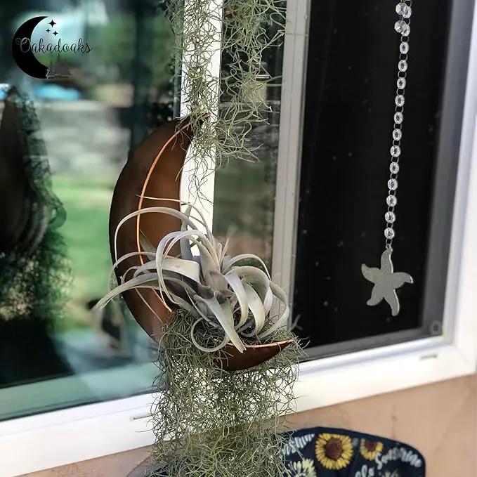 Hanging Moon Planter - Moms Day Gifts for Women - Moon Room Decor - Unique Planters for Succulents,Air Plant, Cactus, Artificial Plants- Plant Lover Gifts - Boho,Hippie, Witchy, Birthdays Gifts by GreenHaven Gardens