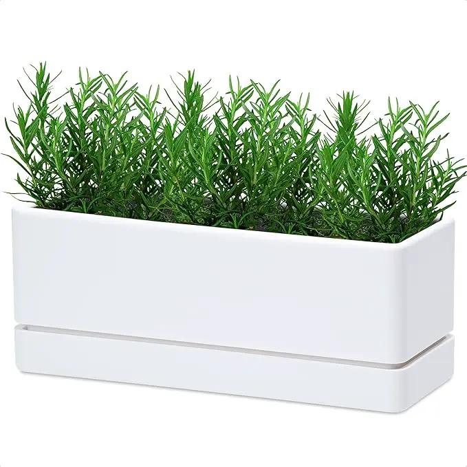 D'vine Dev 12 Inch Window Box Planter, Rectangle Plastic Herb Planter with Drainage Holes and Saucer, Indoor Succulent Cactus Vegetable Pot for Windowsill, Garden Balcony, White, Set of 1, 76-X-A-1 by GreenHaven Gardens