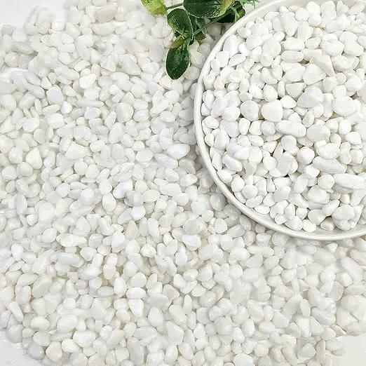 10lbs White Pebbles for Landscaping, 3/8inch Small Rocks for Succulent Cactus Planters, Natural Polished Pebbles, River Rocks for Plants, Vases, Garden by GreenHaven Gardens