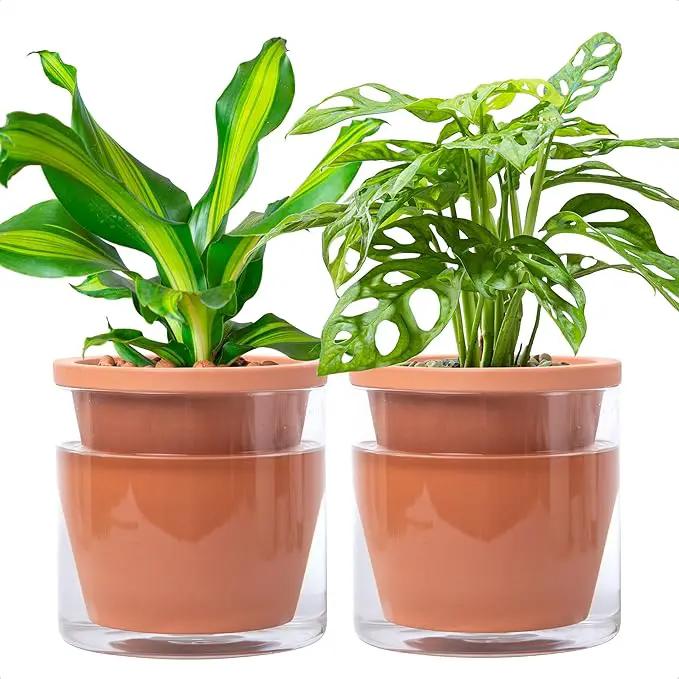 D'vine Dev 6 Inch Design Self Watering Pot for Indoor Plants, Terracotta Planter with Cylinder Glass Cup, Set of 2, 37-Y-B-1 by GreenHaven Gardens