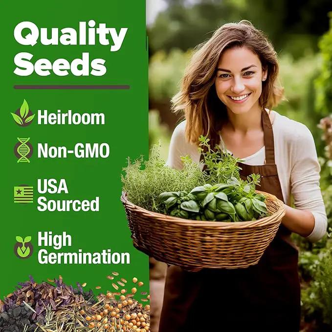 HOME GROWN 15 Herb Seeds for Planting 4,500+ Non-GMO Heirloom Seeds | Extra Large Variety Pack Herb Kit – Indoor Outdoor & Hydroponic | Culinary Seed Set | Grow Your Own Herbs | Gardening Gift by GreenHaven Gardens