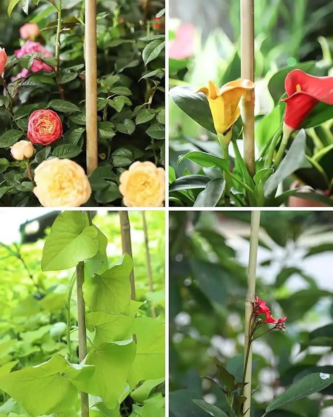 3ft Natural Bamboo Plant Stakes for Tomatoes, Beans, Flowers, Potted, Climbing Plants 25pcs by GreenHaven Gardens