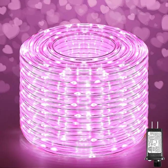 Easter Rope Lights Outdoor, 100FT 300 LED Christmas String Lights with Waterproof 8 Modes, Connectable Clear Tube Twinkle Light for Indoor Bedroom Patio Fence Party Wedding Decorations, Pink by GreenHaven Gardens