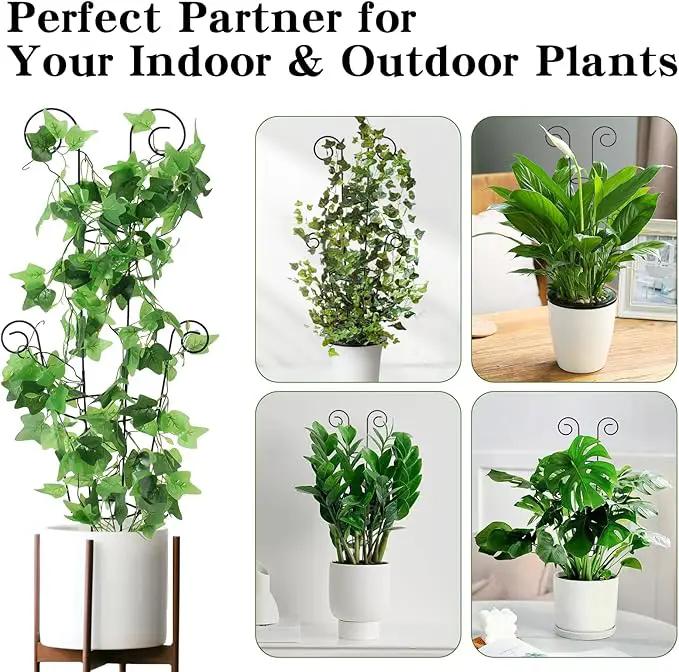 ZOUTOG Trellis for Climbing Plants Indoor 30 Inch, Houseplant Trellis for Potted Plants Metal 4Pcs for Vine Ivy Flower Support,Round Shape,Black by GreenHaven Gardens