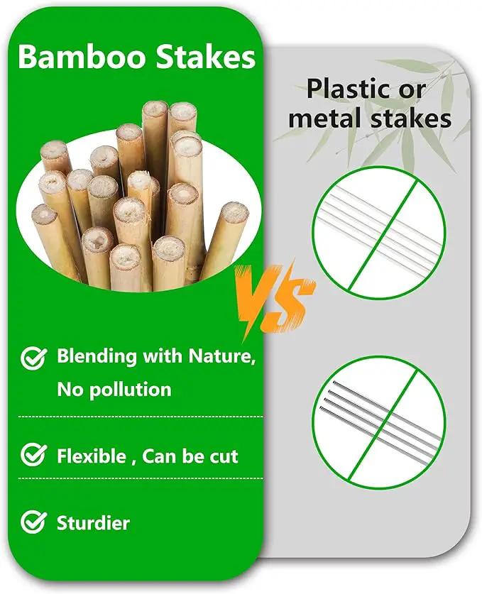 2ft Natural Bamboo Plant Stakes for Tomatoes, Beans, Flowers, Potted, Climbing Plants 25pcs by GreenHaven Gardens