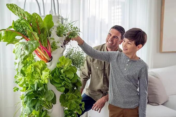 Tower Garden Seedling Starter Kit by GreenHaven Gardens