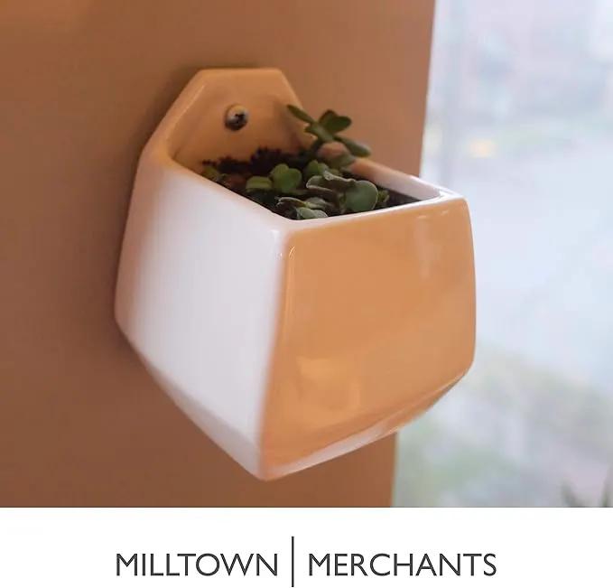 Milltown Merchants Succulent Wall Planter - Black Ceramic Planter - Succulent Plant Pot - Hanging Vase for Living Wall (1 Pack/Contemporary/White) by GreenHaven Gardens
