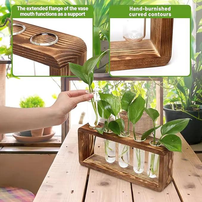 Glass Plant Propagation Station with 5 Test Tubes Planter Vase with Wooden Stand Birthday Gifts for Women Mom Plant Lovers by GreenHaven Gardens