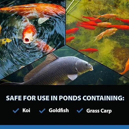 CrystalClear AlgaeOff Pond & Water Garden Scum Cleaner, Waterfall & Rock Slime Remover, String Algae Killer, Green Stain Treatment, EPA Registered Algaecide, Plant, Koi Fish, Bird & Pet Safe, 8 lbs by GreenHaven Gardens