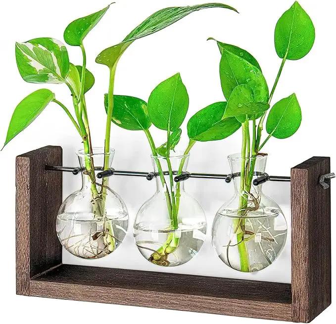 Ivolador Wall Hanging Plant Propagation Station,Bulb Plant Terrarium with Wooden Stand,Unique Gardening Gifts for Women Plant Lovers,Hydroponic Indoor Planter Home Office Decor-3 Bulb Glass Vases by GreenHaven Gardens