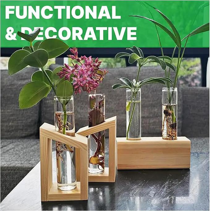 Plant Propagation Station - 3-Piece Wooden Stand with 4 Glass Test Tubes, Terrarium Vases for Plants, Hydroponic Propagation Planter for Home office Decor, Plant Lover Gift. by GreenHaven Gardens