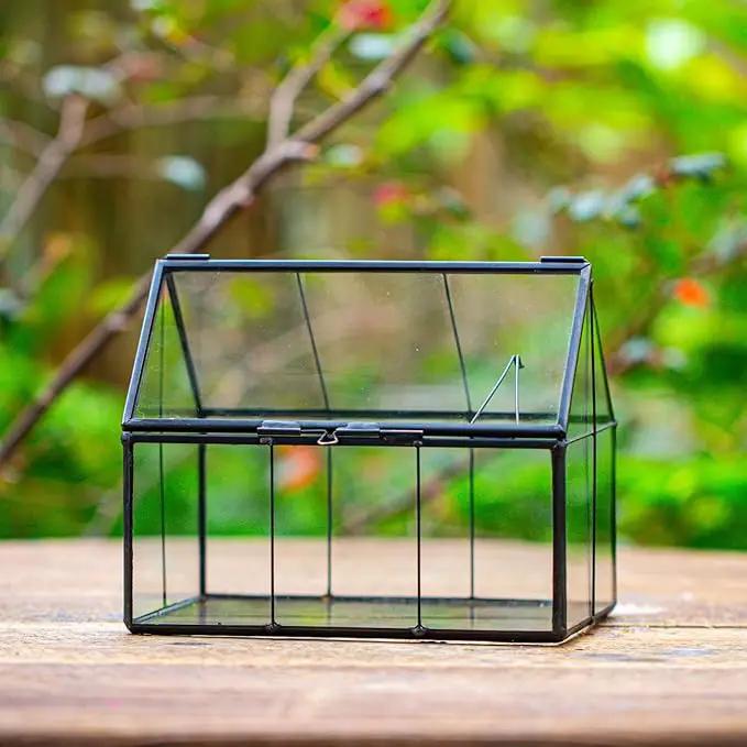 NCYP Mini Glass Terrarium with Lid - 6.1" x 4.25" x 4.92" House Shape Closed Planter Pot for Small Cactus, Succulents Plant - Home Garden Office Tabletop Geometric Decor, Black (Terrarium Only) by GreenHaven Gardens